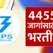 IBPS मार्फत 4455 जागांसाठी मेगाभरती! IBPS Recruitment 2024